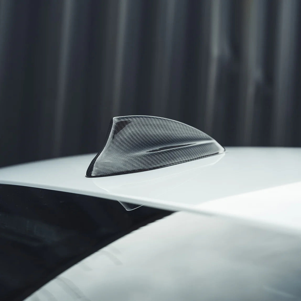 BMW Fxx Carbon Antennenabdeckung