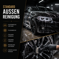 Aussenreinigung - Standart Deluxury