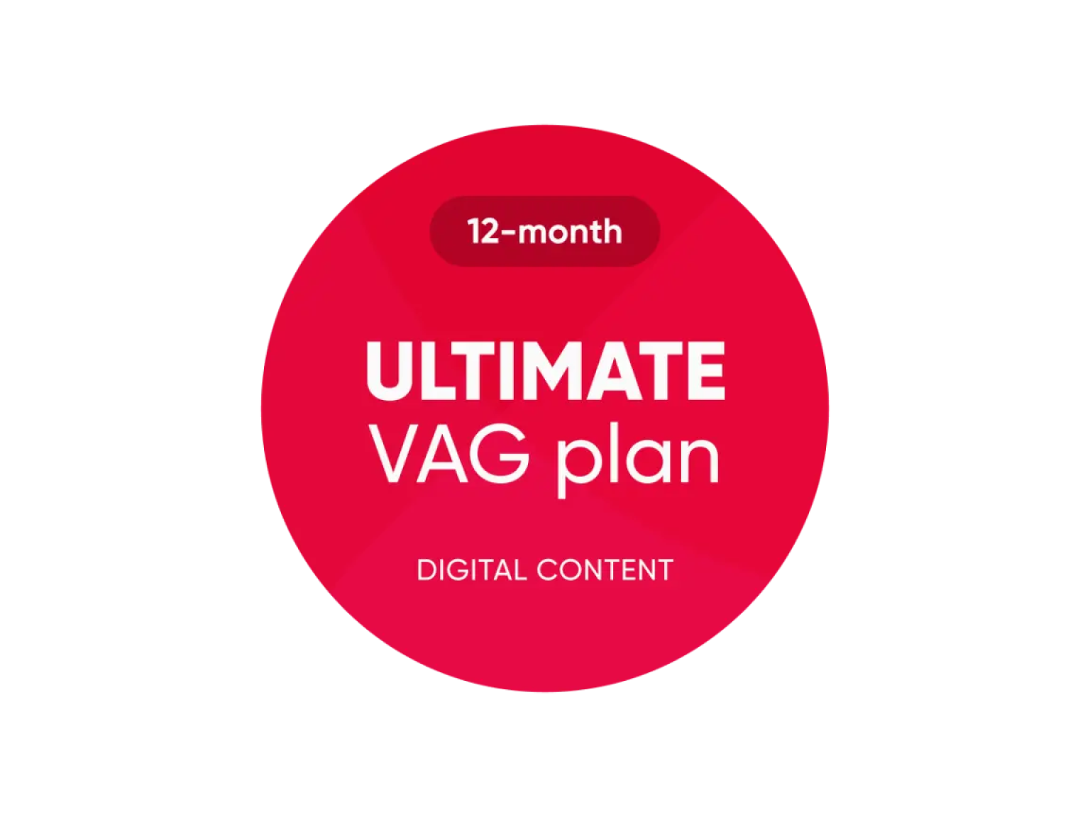 OBDeleven - ULTIMATE VAG Plan (12-month)