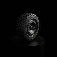 Rock Dust 20" - satin black