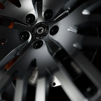 Black Crow 22" - Gun metal