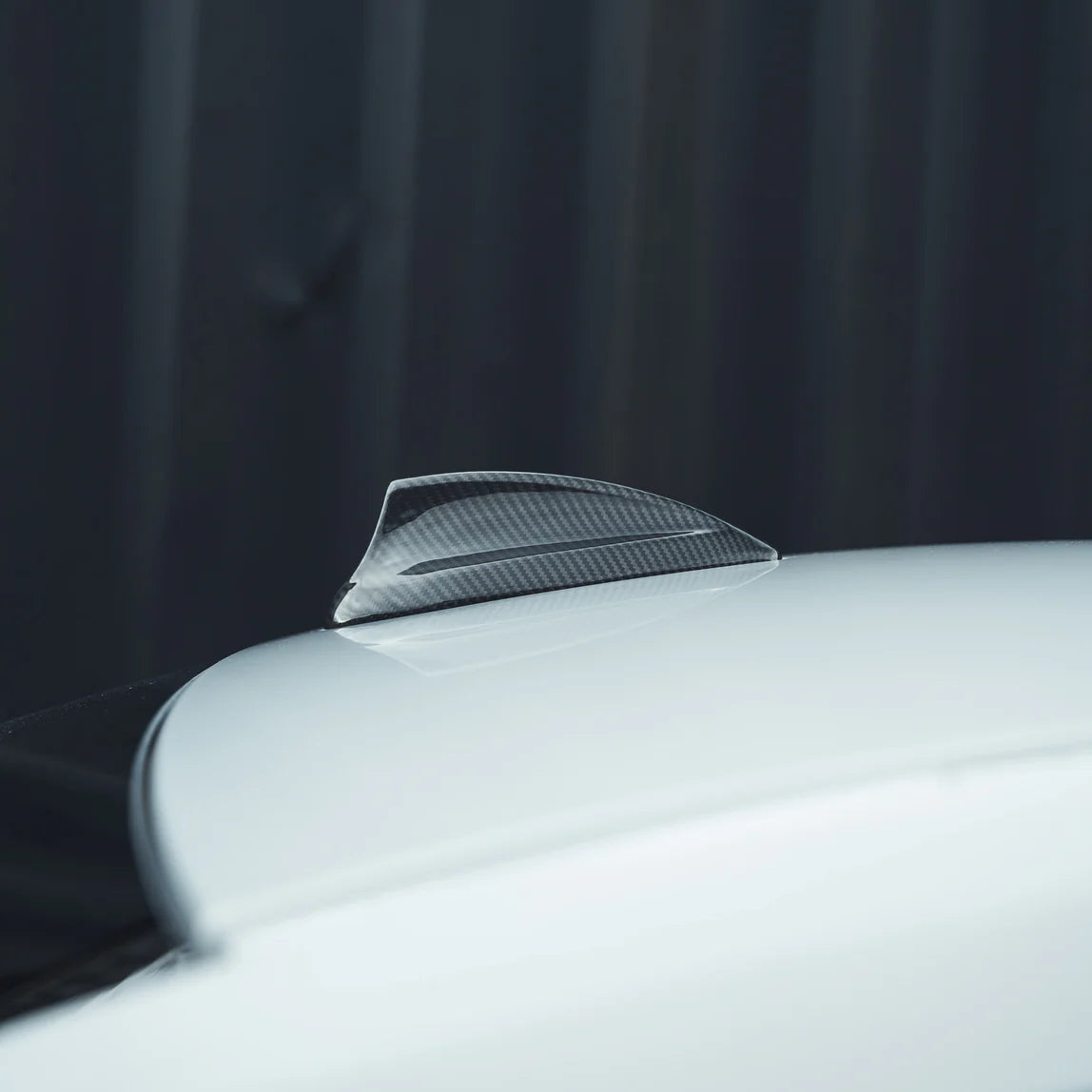 BMW Fxx Carbon Antennenabdeckung