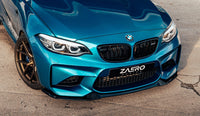 EVO-S Frontlippe für BMW M2 F87 (Vorfacelift) (8135515504931)